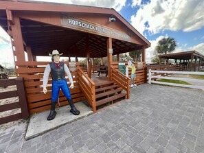 Àrea exterior de l'allotjament