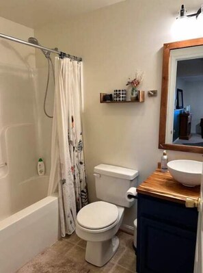 Towels, soap, shampoo, toilet paper - Homestead with Shenandoah Valley Views (Strasburg)