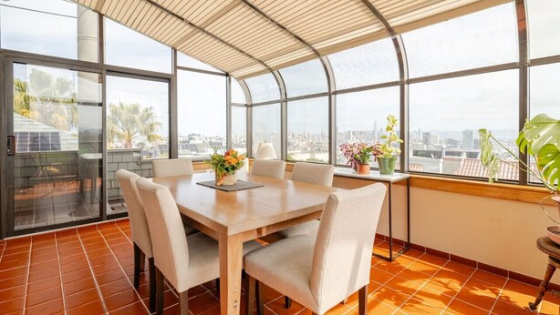 Un comedor con una mesa grande, sillas y plantas en macetas.