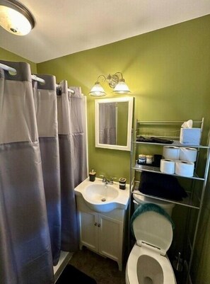 A bathroom with a sink, mirror, and toilet. - Spacious Country Home (Tanner)