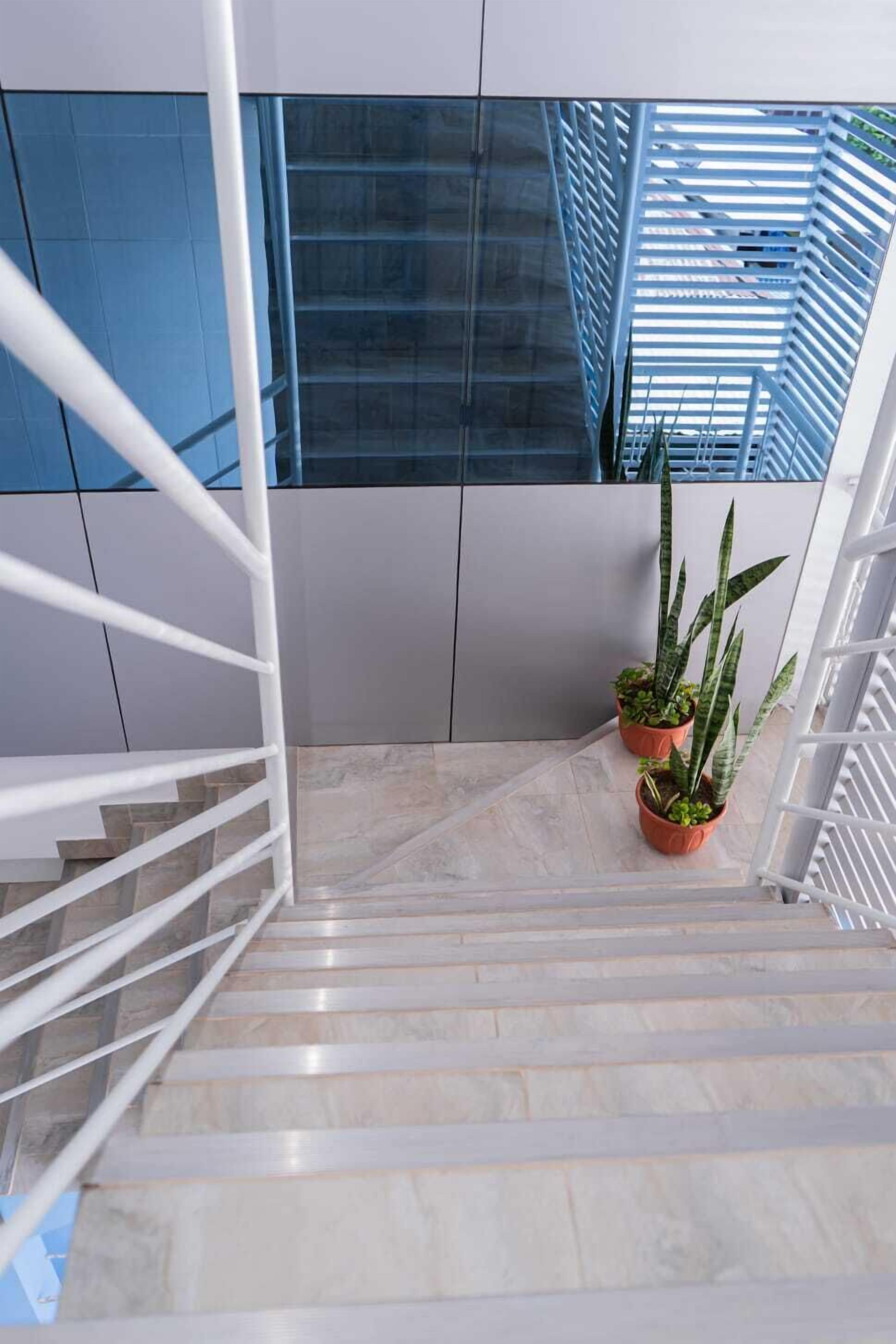 Una escalera con barandillas blancas que conduce a un edificio moderno con amplias ventanas y un muro de azulejos azules.