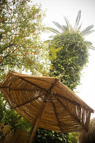 Maison D'hôtes "villa Les Palmes" /chambre Salouha