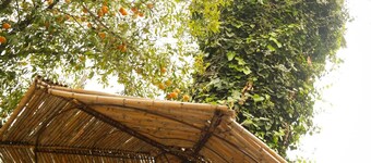 Maison D'hôtes "villa Les Palmes" /chambre Salouha