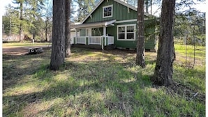 A green house with a porch, surrounded by tall trees.