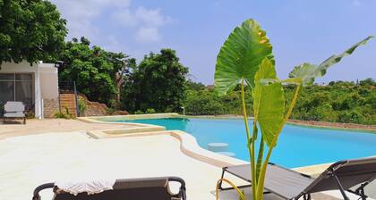 Cave Diani Studio Apartments