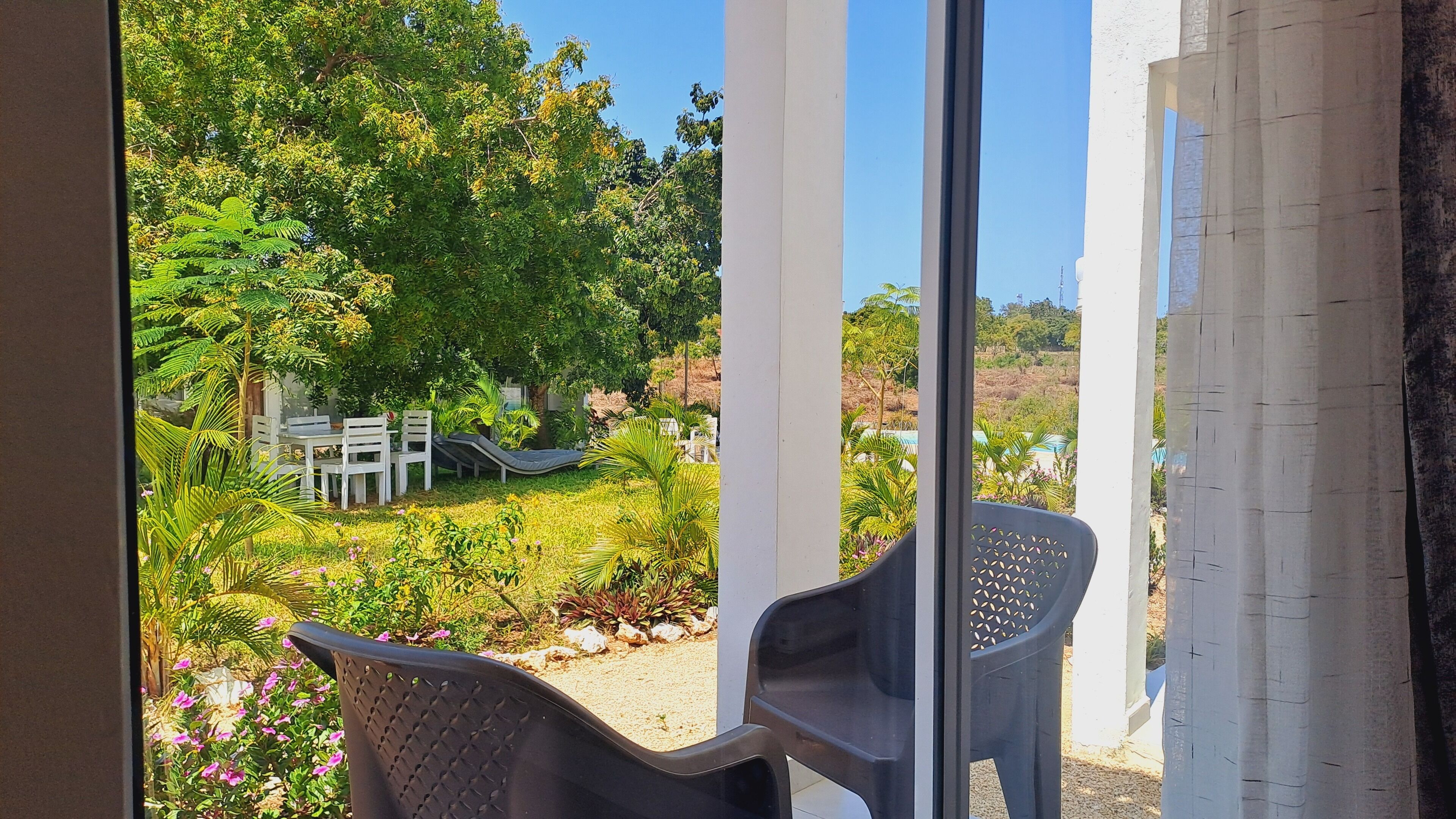 Vista desde la habitación