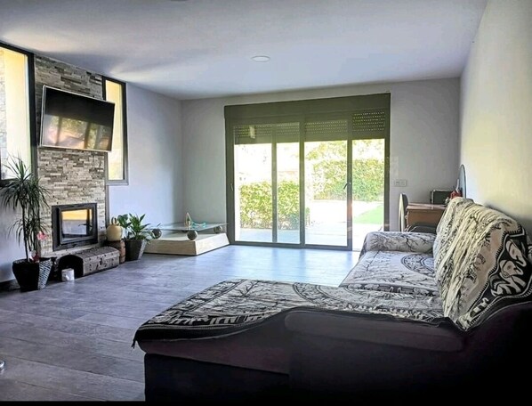 Smart TV, fireplace, books