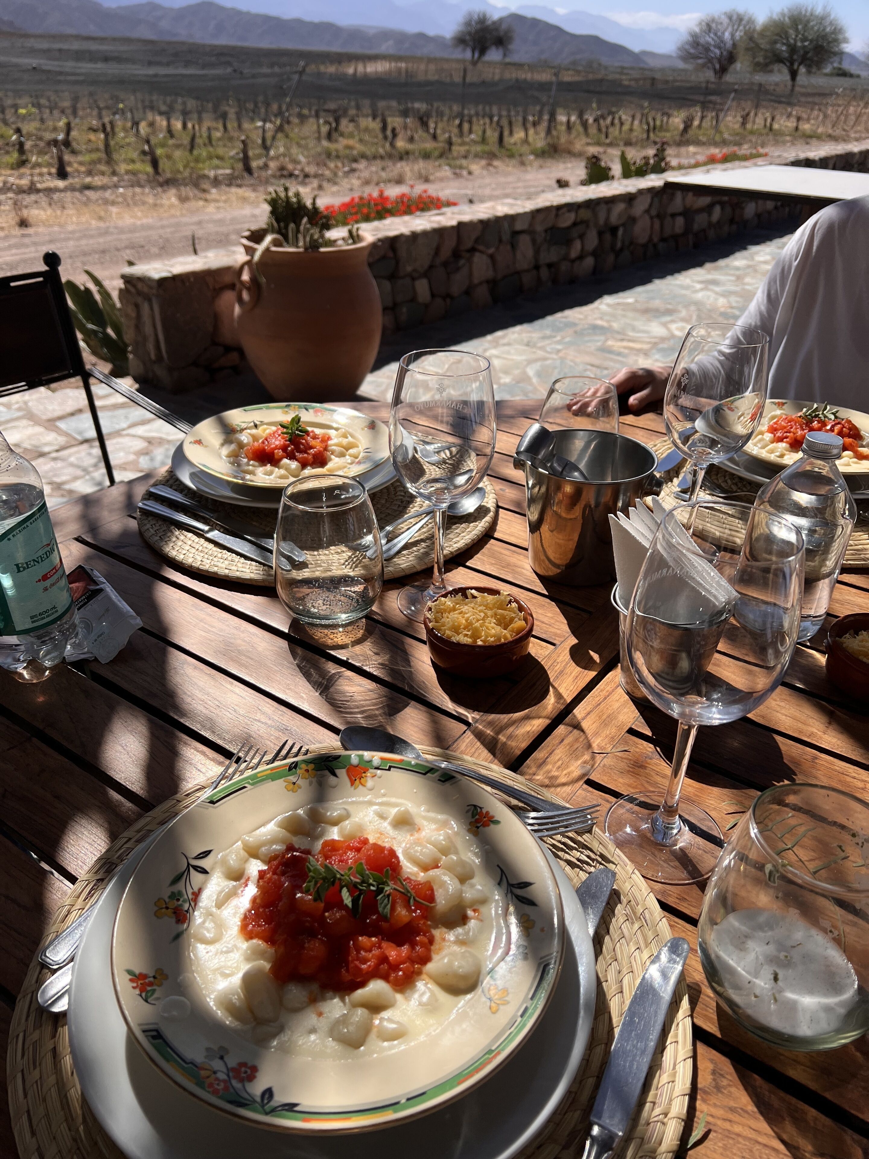 A table set with plates of pasta, glasses, and a bottle of water, with a vineyard view in the background.