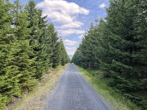 3 多间卧室、办公桌、WiFi、床单