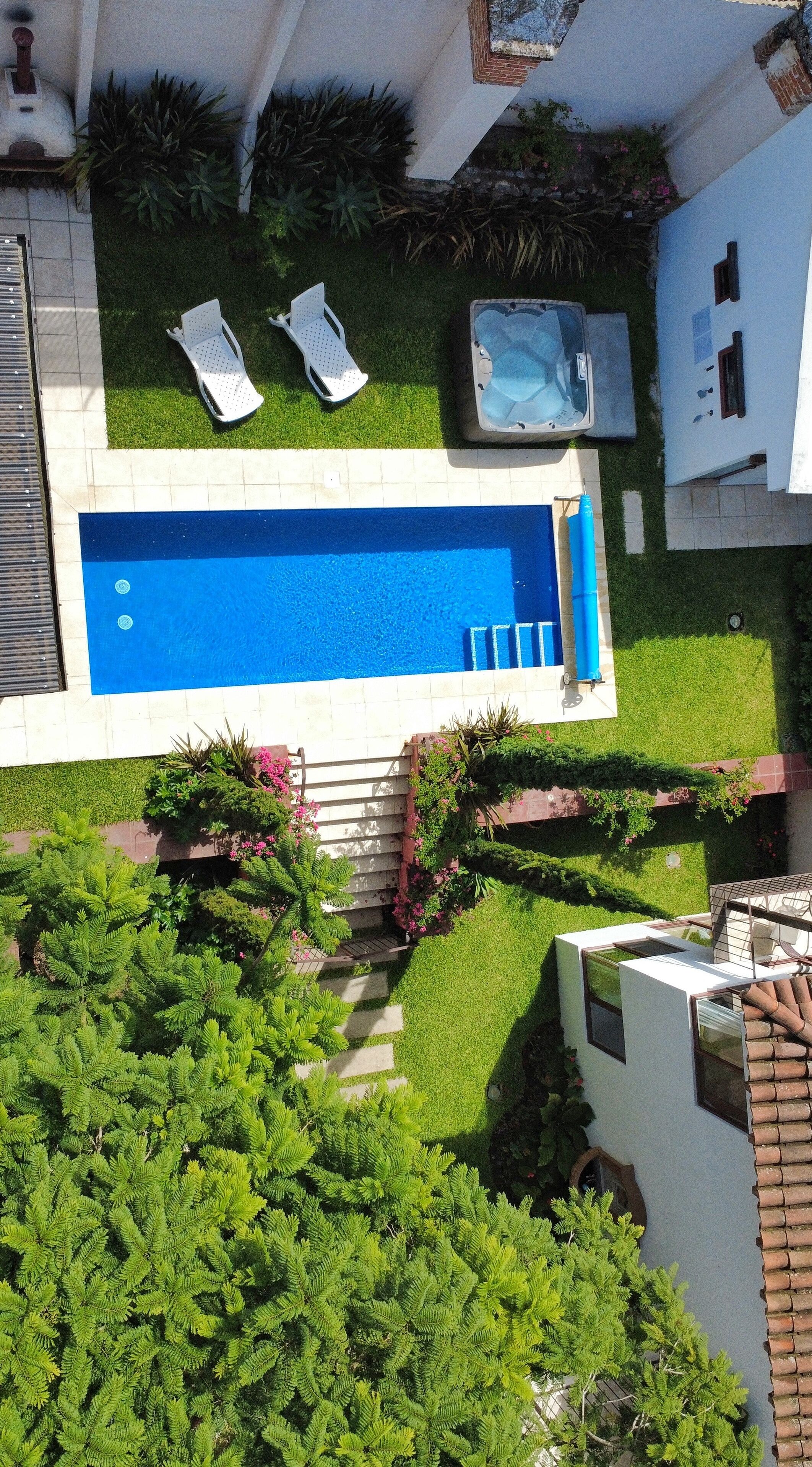 A rooftop pool with a hot tub, surrounded by lush greenery and a small staircase leading to the pool.