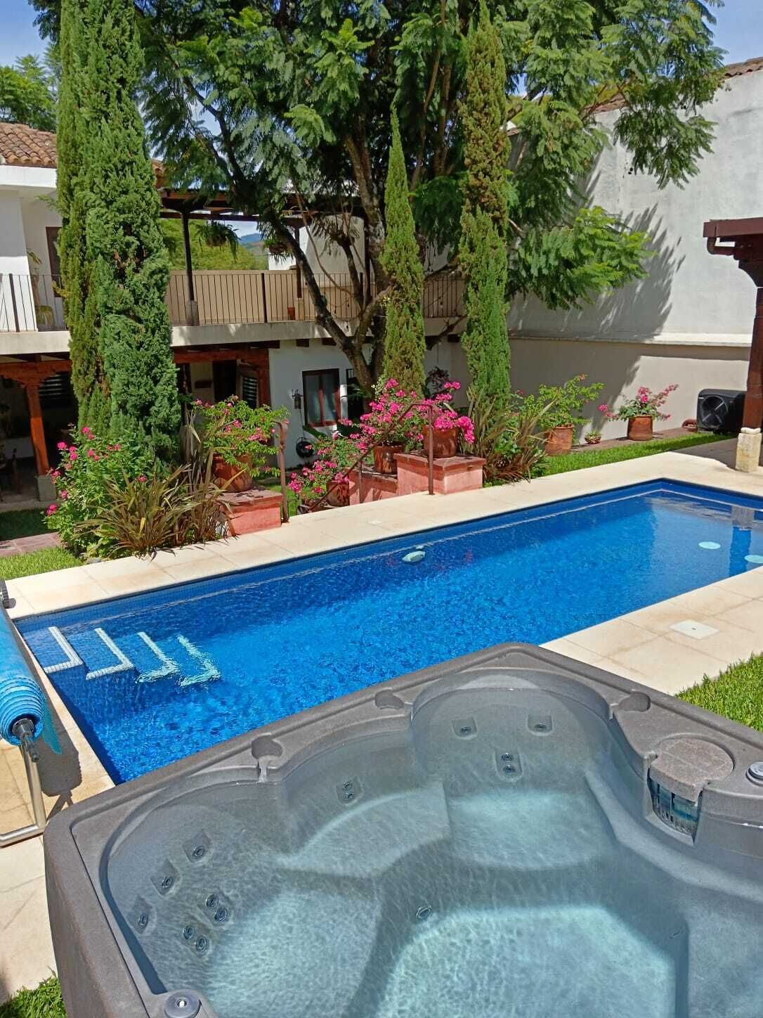 A swimming pool with a hot tub, surrounded by potted plants and trees.