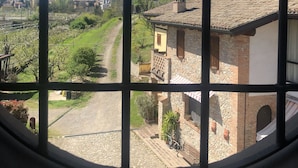 A view through a window with a grid pattern, displaying a rural landscape with buildings, a road, and greenery.