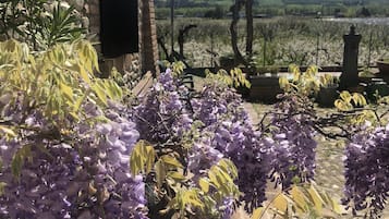 Dettaglio esterni
