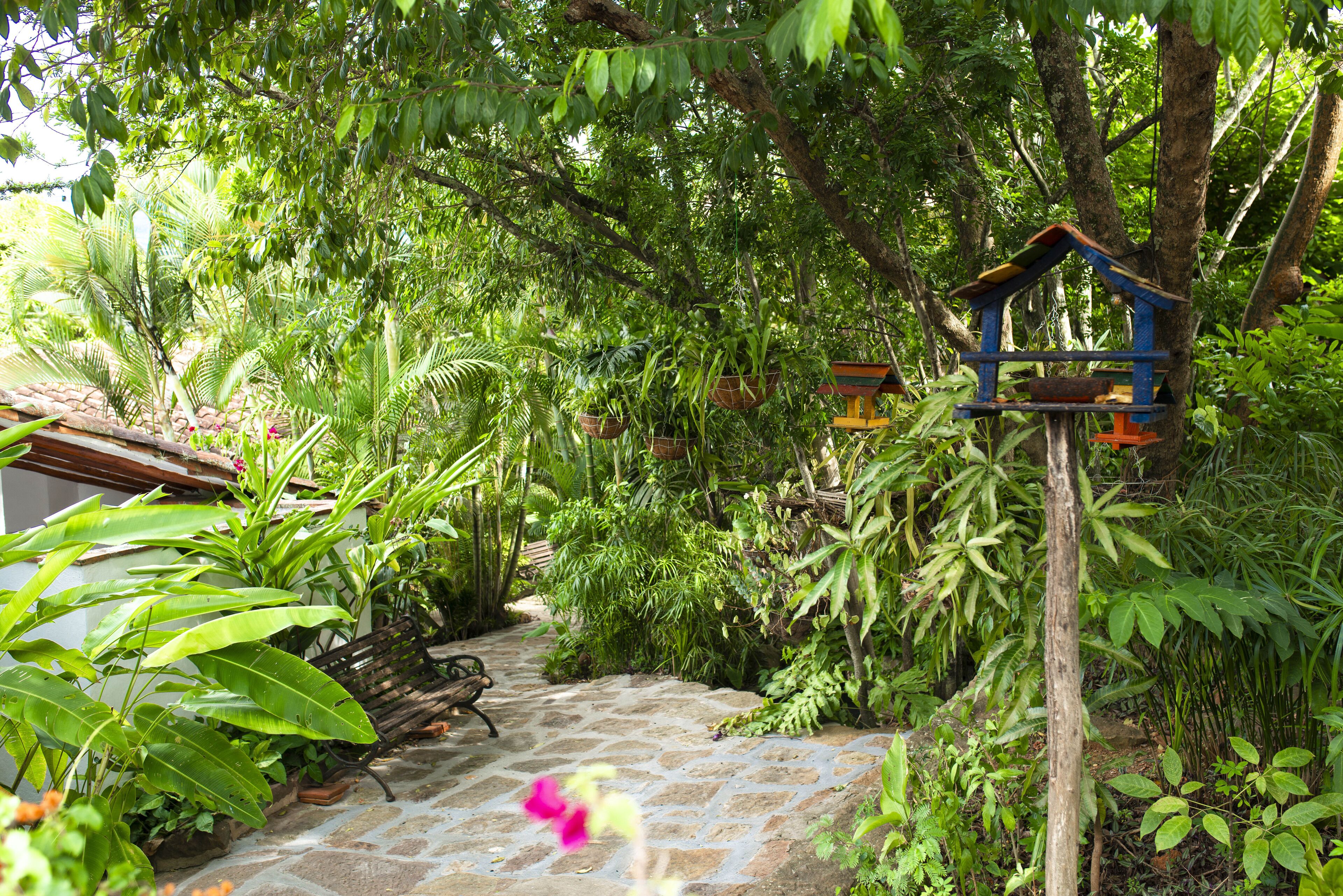 Un sendero de piedra serpentea por un exuberante jardín con diversas plantas y un comedero de madera para pájaros.