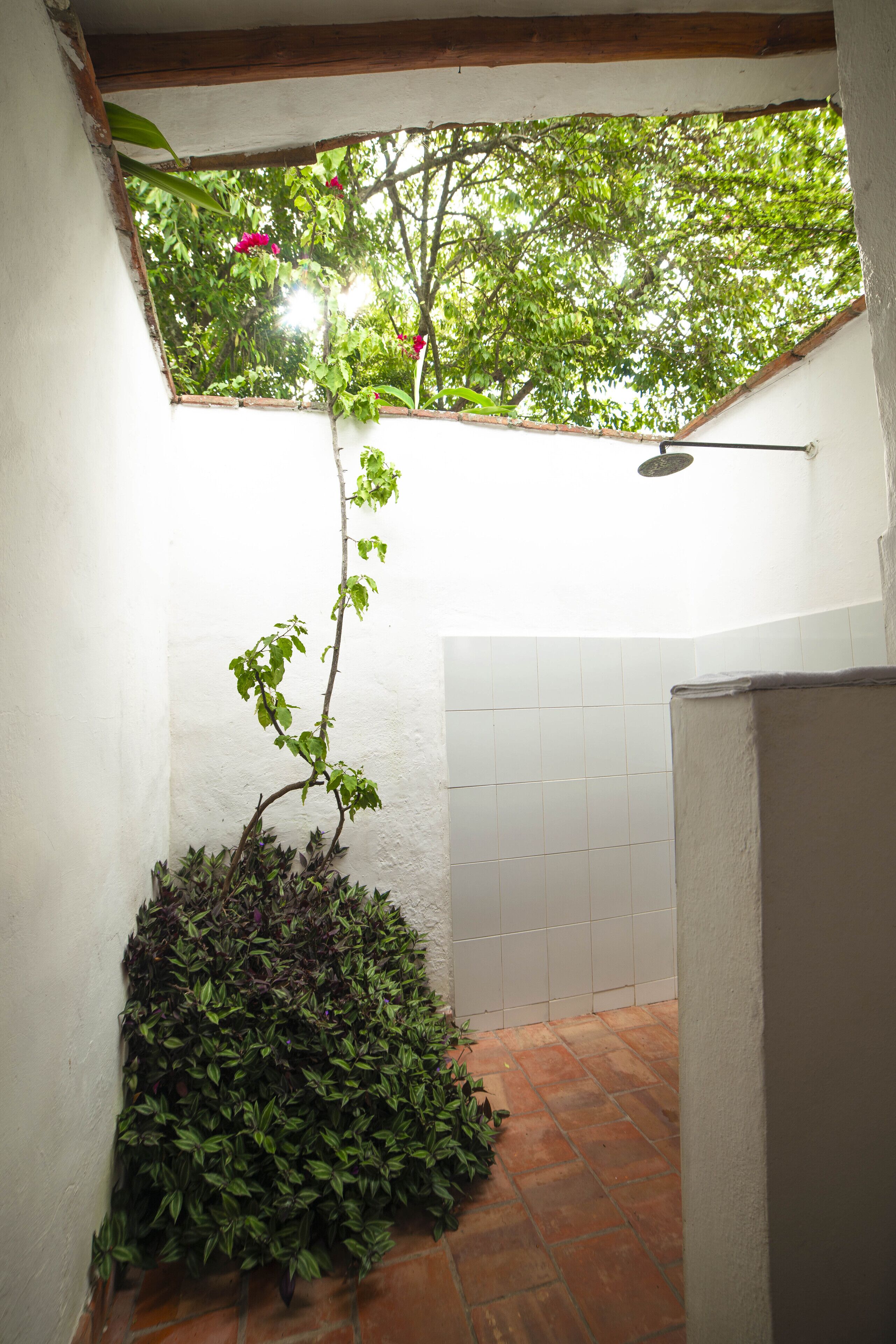 Un baño pequeño y cerrado con piso de baldosas, una zona de ducha y una planta en maceta.