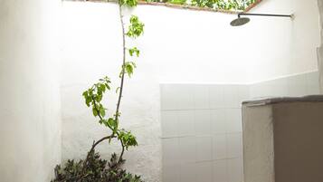 Un baño pequeño y cerrado con piso de baldosas, una zona de ducha y una planta en maceta.