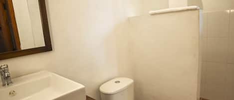 Un baño con lavamanos, inodoro y ducha.