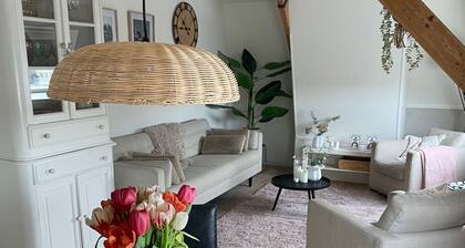 Op nog Geen 5 Minuten Lopen van Hartje Leiden, Maar Slapen in Alle Rust