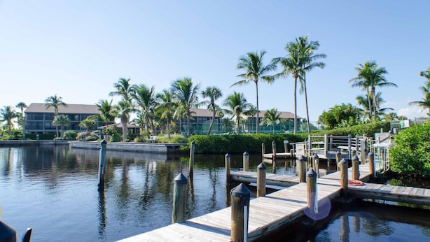 A waterfront dock with wooden walkways and palm trees. - Waterfront condo with easy water access to world class fishing and sightseeing.  (Bokeelia)