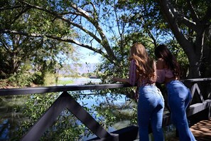 Deluxe Quadruple Room, River View | Terrace/patio - Hotel cabañas yyukkai (Tequila)