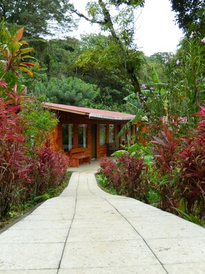 Terrace/patio - Elida Lodge Monteverde (Monteverde)