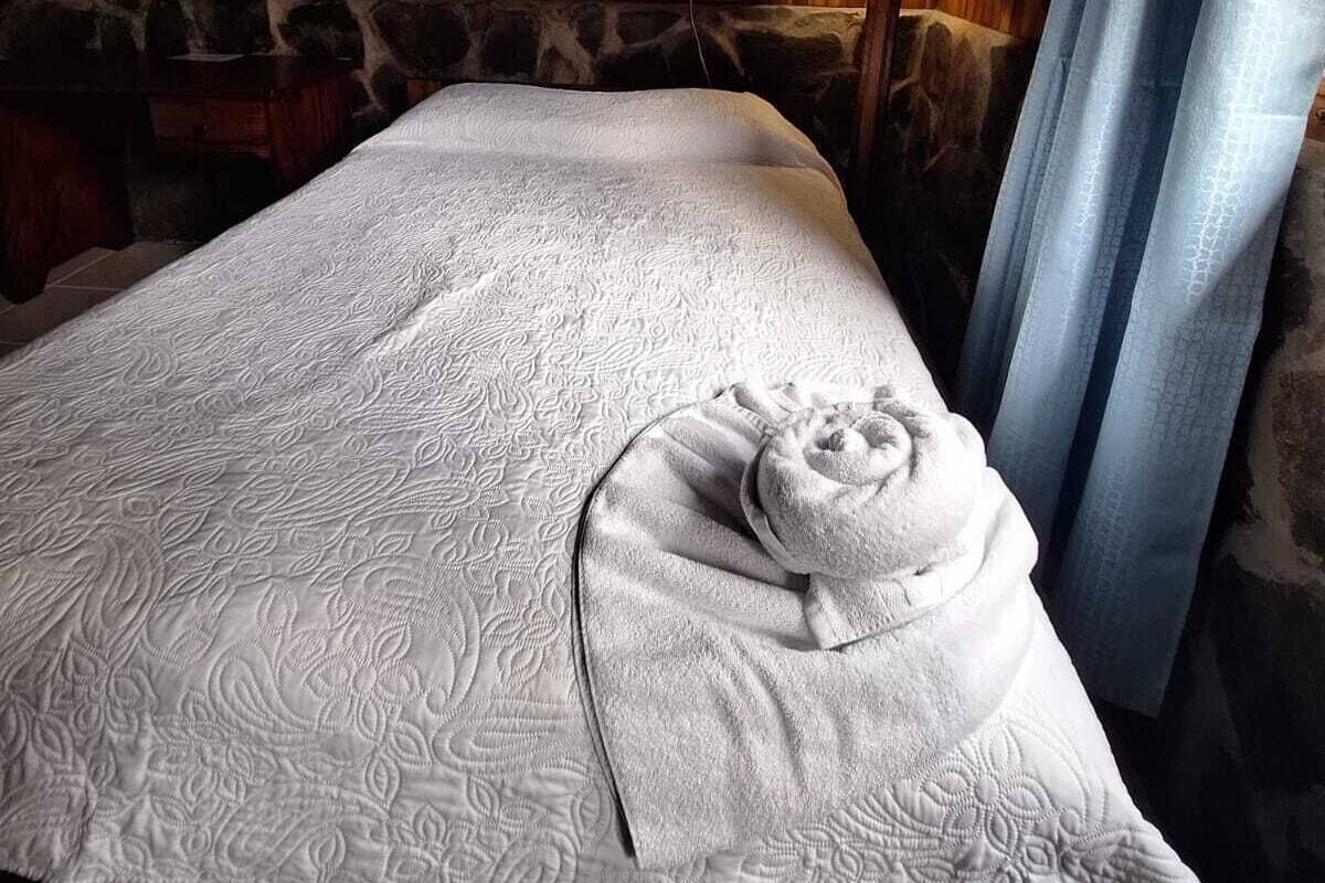 A room with a bed, a stone wall, a wooden ceiling, and a lamp.