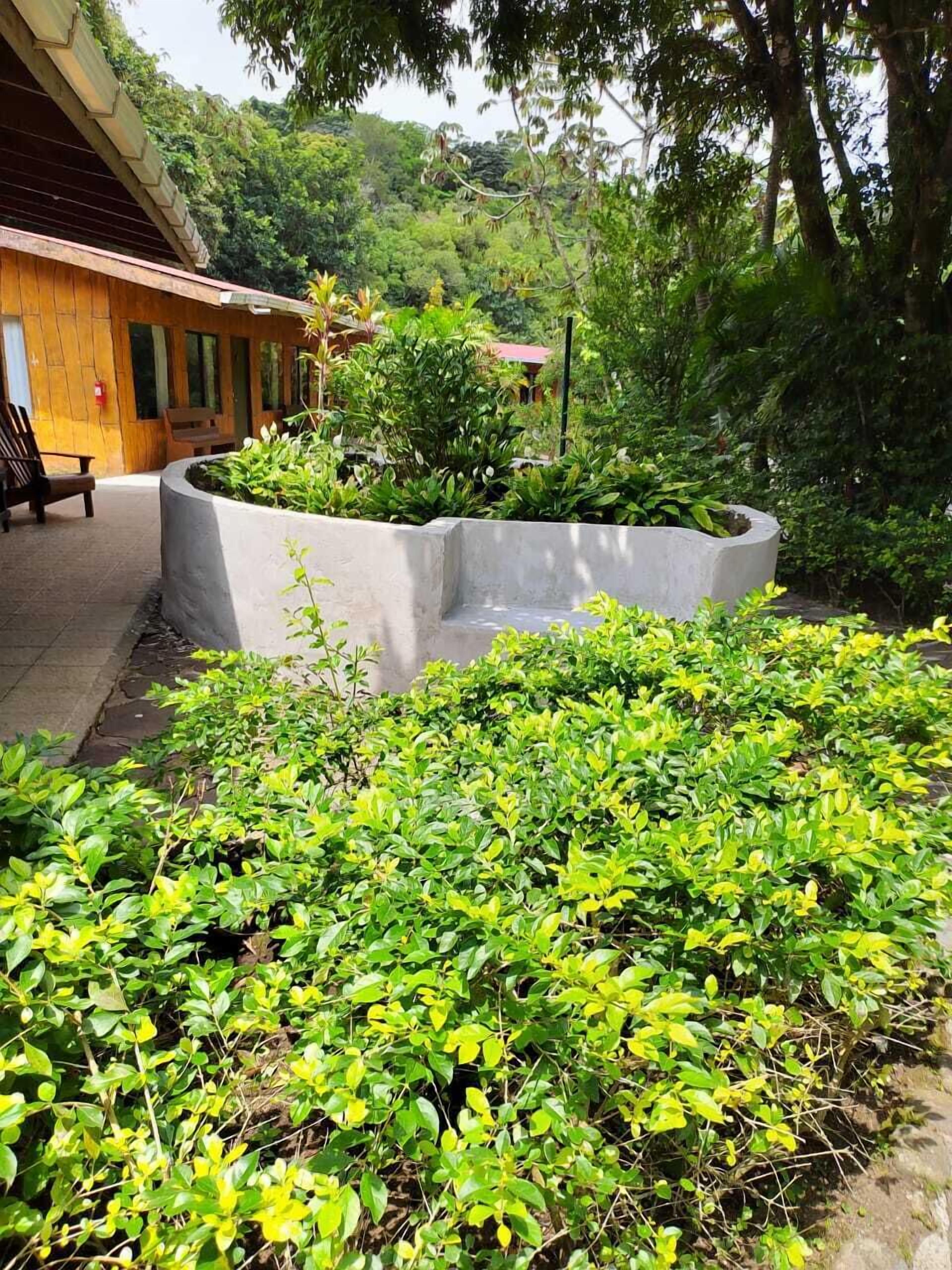 Un espace jardin agrémenté d’un bac à fleurs en béton et d’un bâtiment en bois avec un banc.