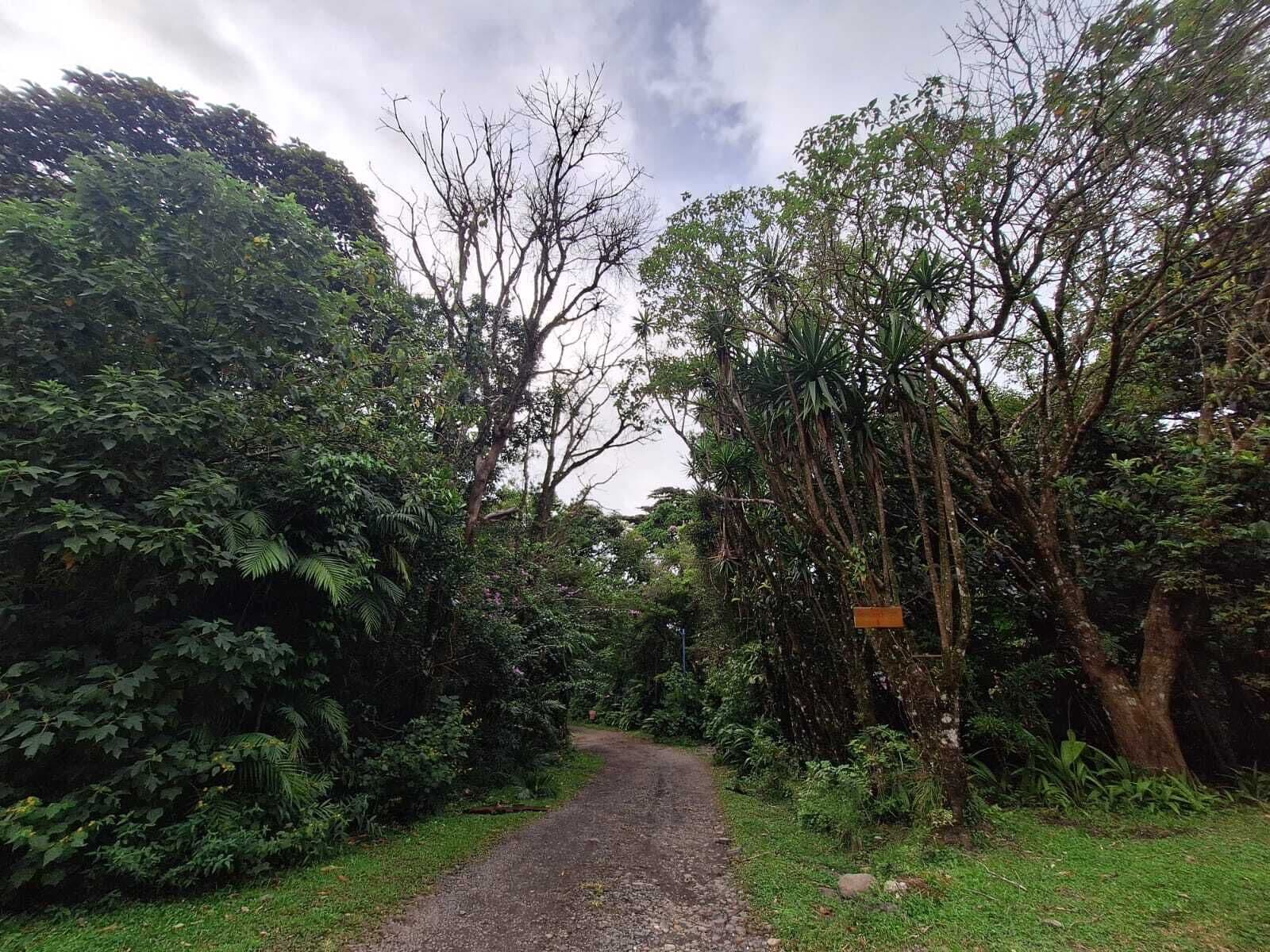 Foto - Elida Lodge Monteverde