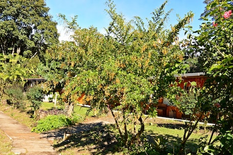 Jardín