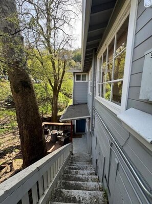 Property grounds - Eucalyptus retreat by the creek (San Anselmo)