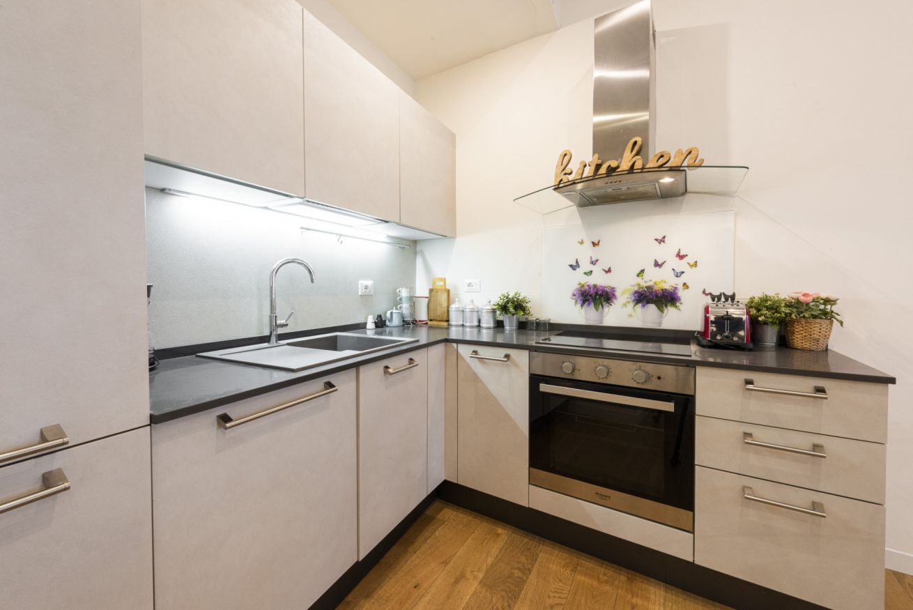 Fridge, oven, stovetop, dishwasher