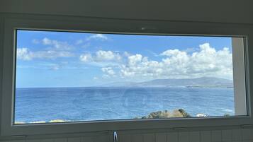 Full-size fridge, microwave, oven, stovetop