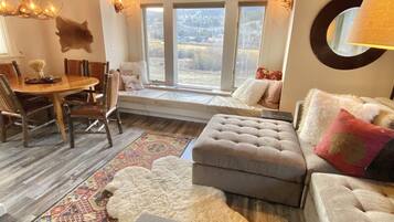 Smart TV, fireplace, DVD player, books