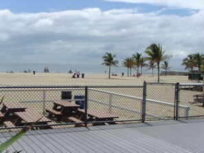 A beach with a fence, palm trees, and people.