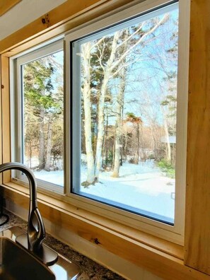 A window with a view of a snowy landscape and trees.