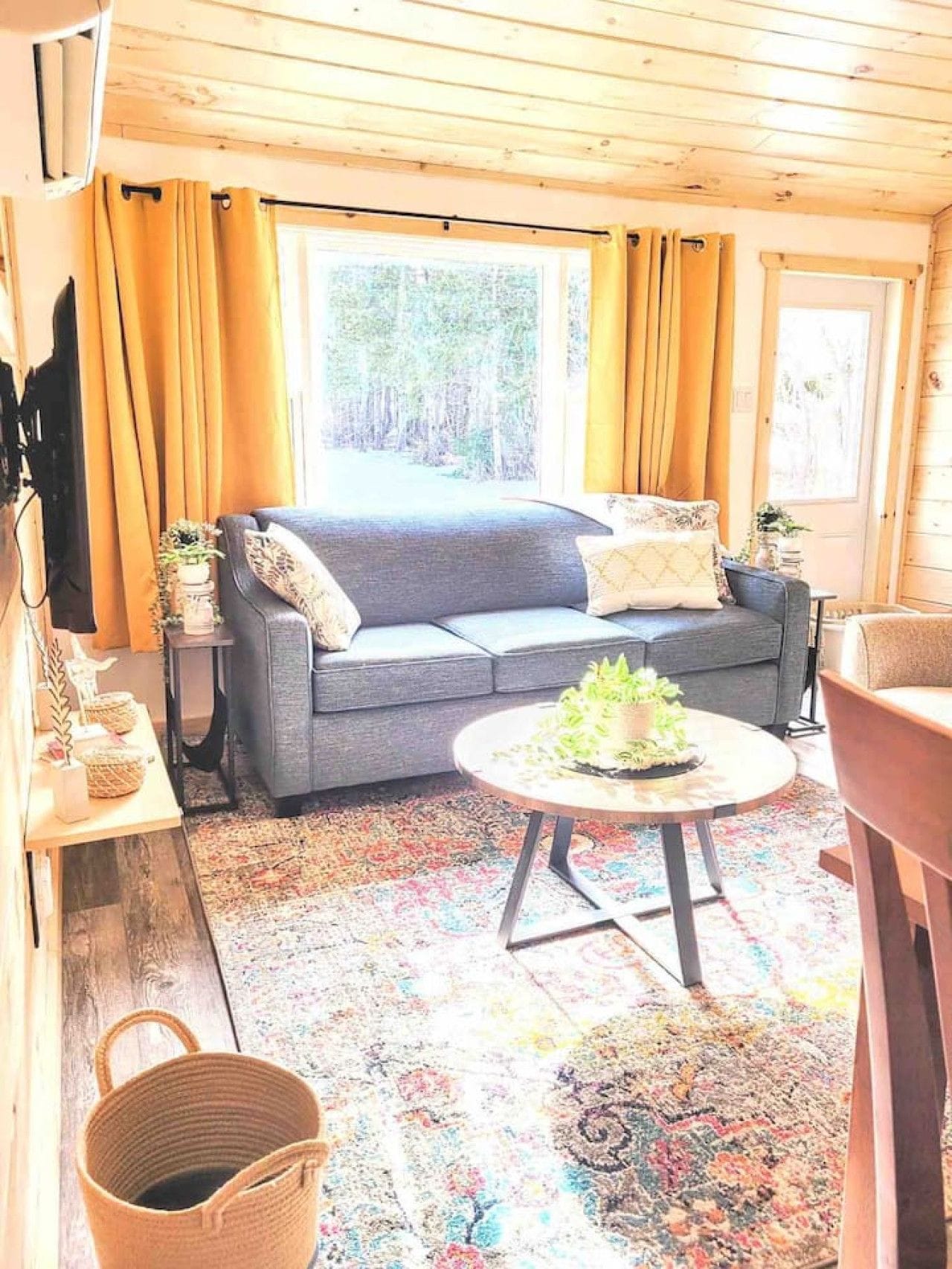 A cozy room with a grey sofa, a round table with a plant, and a colorful rug.