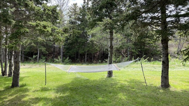 A hammock suspended between trees in a grassy area. - Chalet Gedouque, a tranquille retreat located on the Cabot Trail with waterfront views (Chéticamp)
