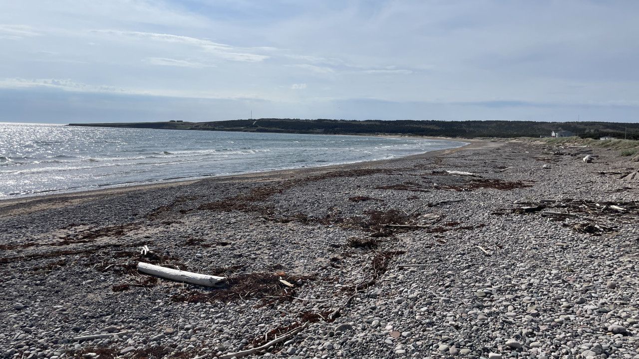 Strand
