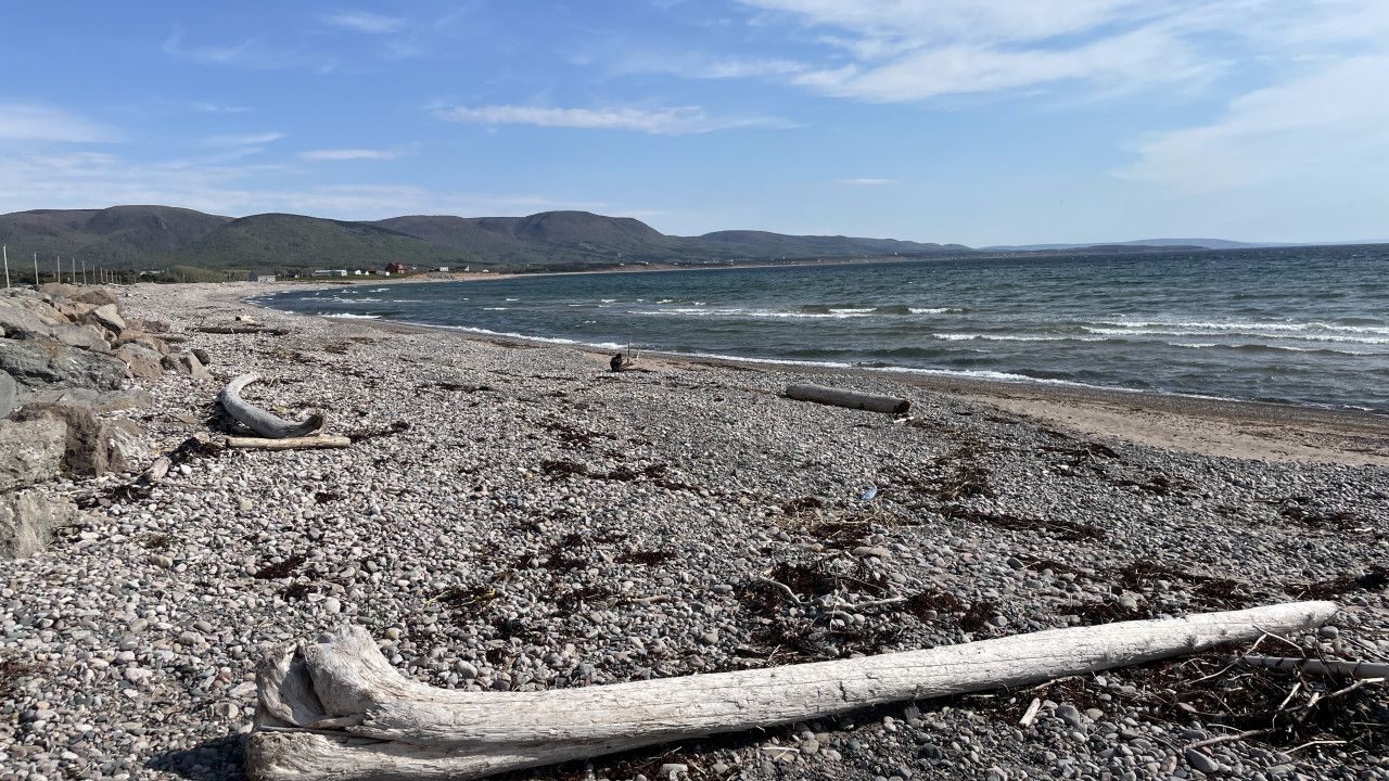 A rocky beach with driftwood and a clear view of the sea and distant hills.