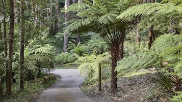 Área da propriedade