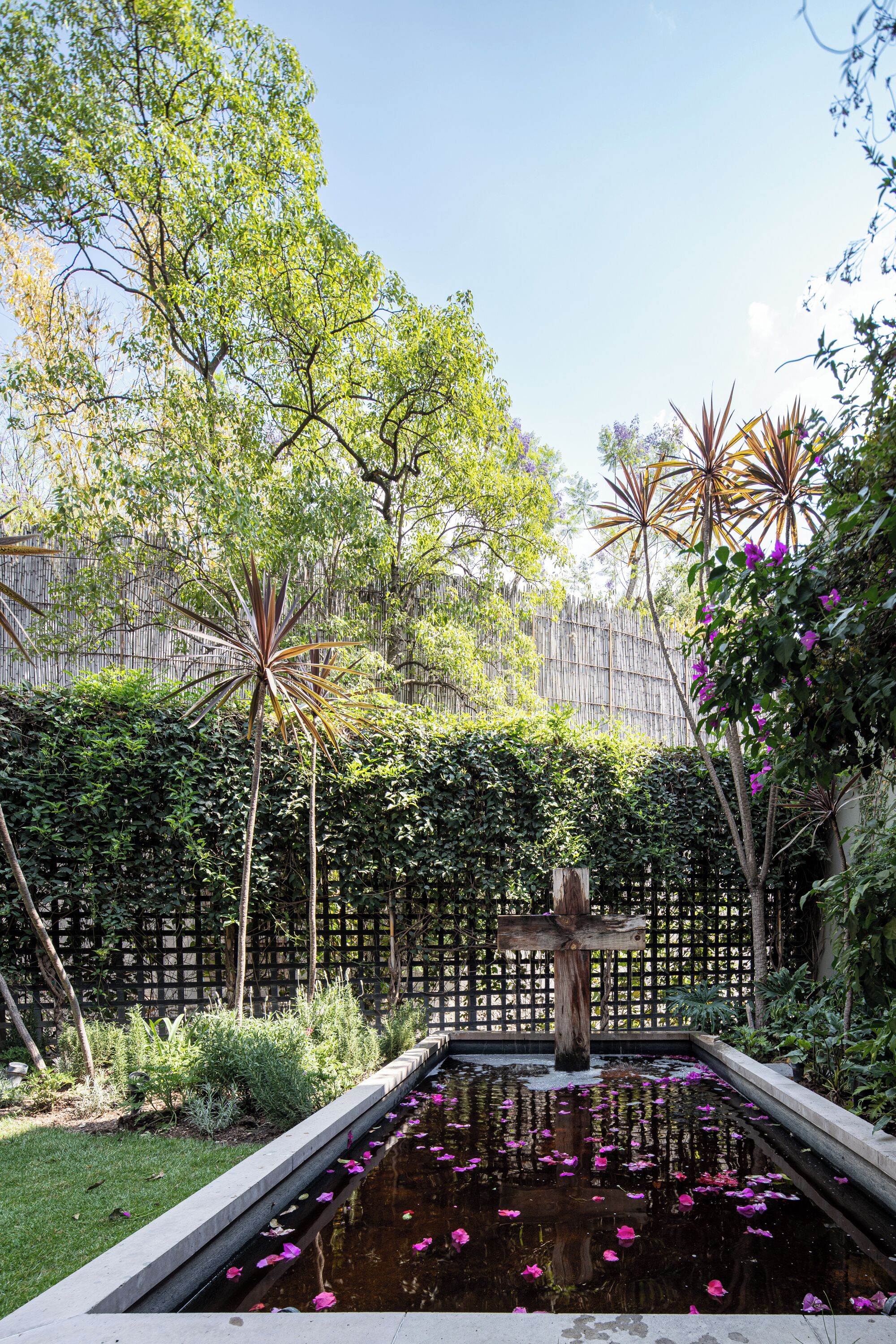 A garden with a pond, surrounded by lush greenery and a wooden fence.