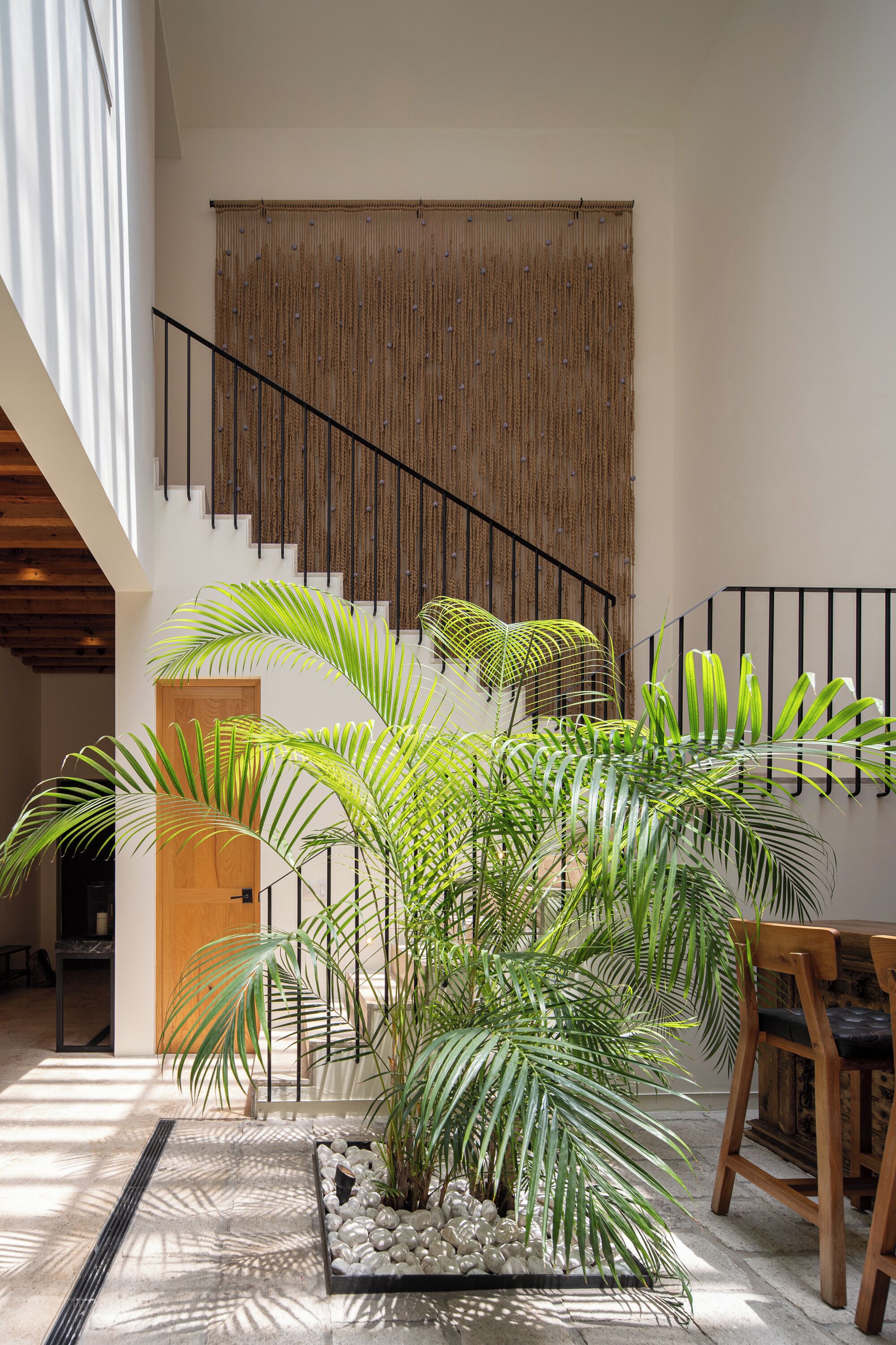 Un intérieur moderne avec un escalier, de grandes plantes en pot et une porte en bois.