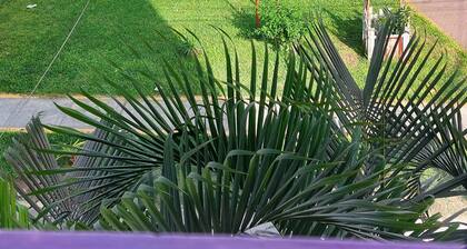 El Tumi - Aeropuerto