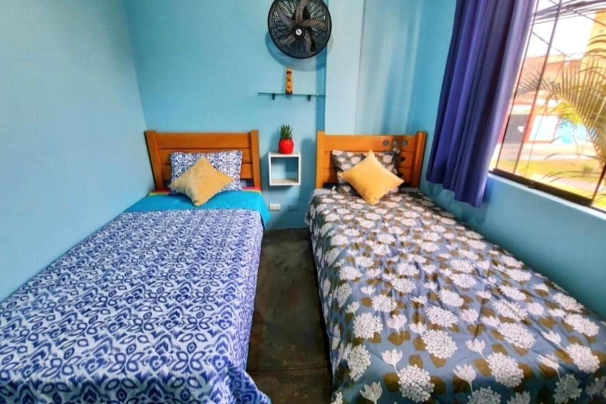 A room with two single beds, a ceiling fan, a small shelf with a plant, and a window with curtains.