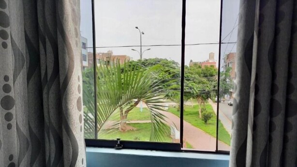 Una ventana con vista a una palmera y una calle.