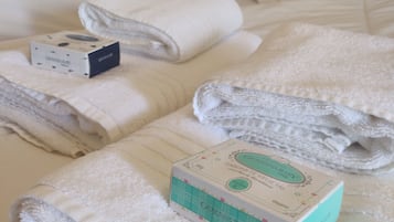 2 chambres, bureau, fer et planche à repasser, Wi-Fi gratuit