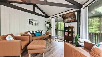Smart TV, fireplace, DVD player, books