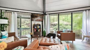 TV connectée, cheminée, lecteur de DVD, livres