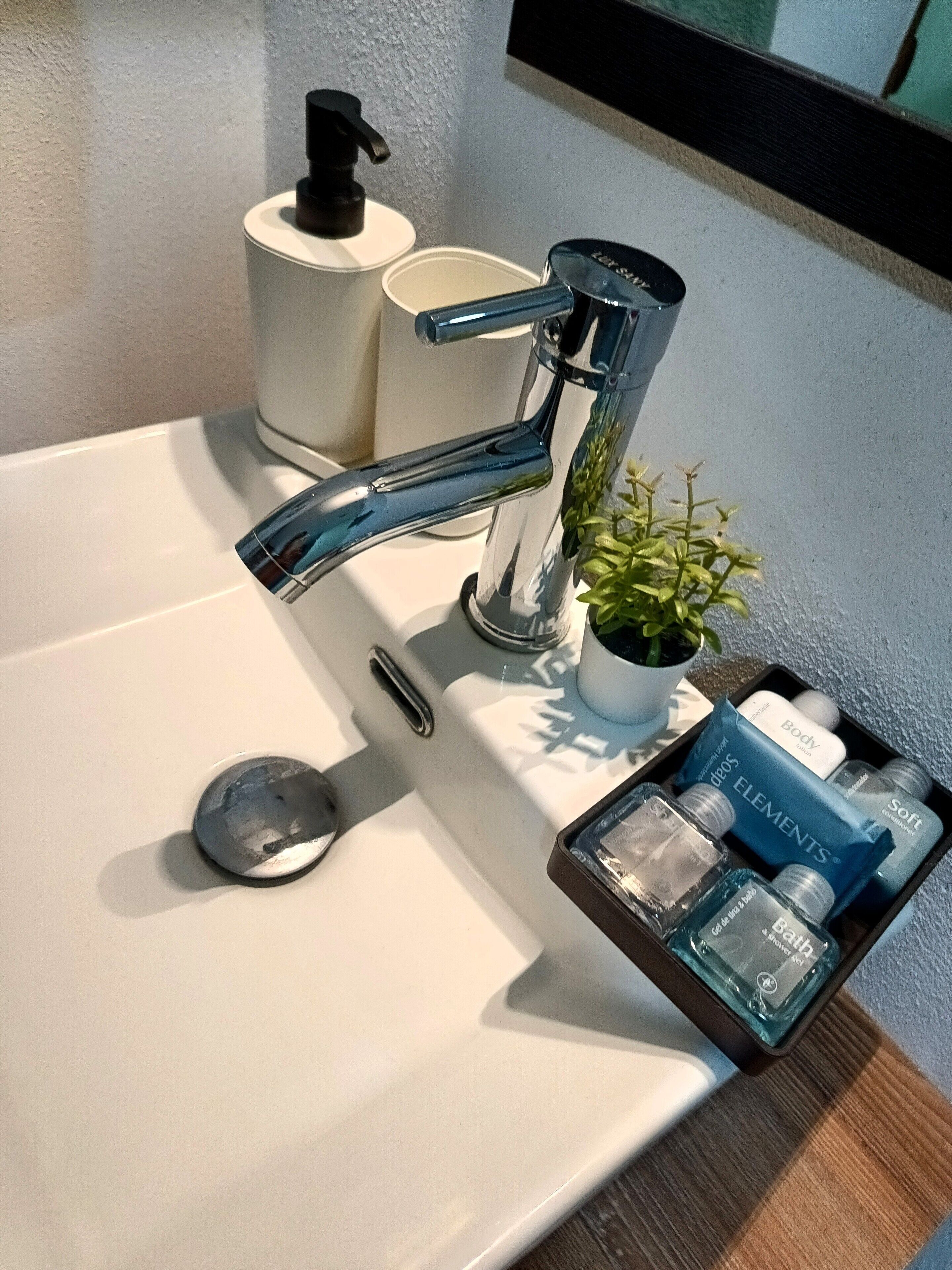 A bathroom sink with a chrome faucet, a small potted plant, and a tray with toiletries.