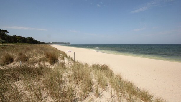 A beach with sand, grass, and a clear sky. - Kleines Aber Feines Ferienhäuschen in Strandnähe - Tiny Chalet Nr. 819 - Tiny Chalets (Binz)